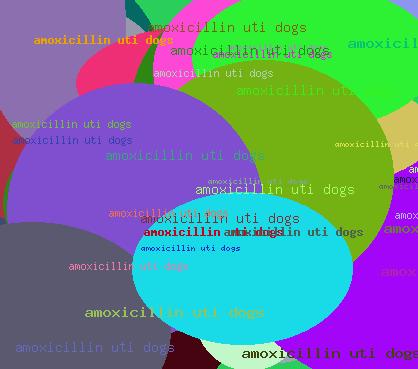 Amoxicillin Uti Dogs